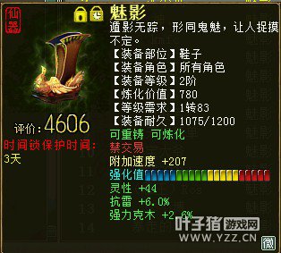 24606