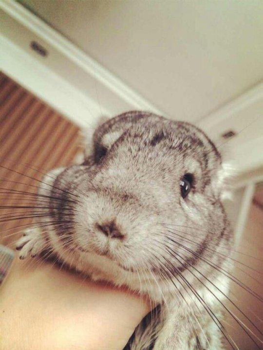 飺Щ