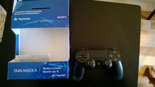 PS4ֱʵ￪