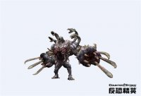 ���־�ӢOnline