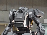 �ձ��׿���ʵ����սʿ