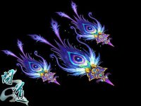 ���ʵ�����ȸ��