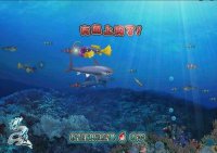 ���ʵ��������С��