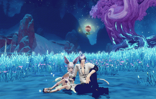 �����͡�ӵ���������ƽ���