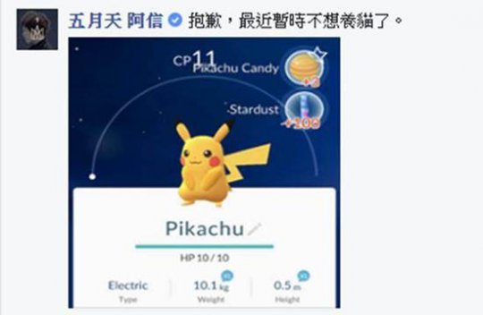 阿信沉迷手游炫耀抓到皮卡丘:不想养猫了