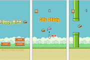 սŰ flappy bird()ֽ