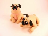 ħ�����ְ�