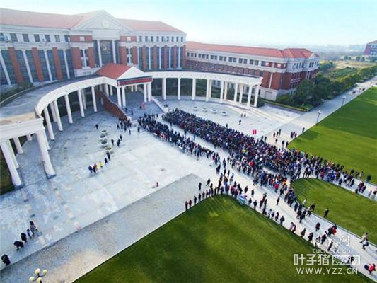 �׸��羺����רҵ���� �Ҹо��Լ����˼�LOL