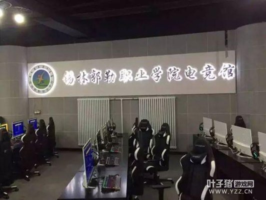 �����׸��羺רҵ���أ�ѧ�����Ƕ������