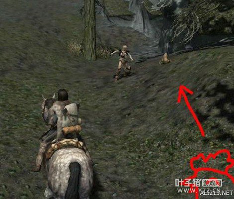 ��Ϊ����һֻ�����������ˣ���Ϸ��10����������