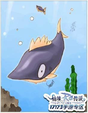 �ɾ���˵RO���㿨Ƭ���� ���㿨Ƭ����;��