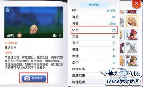 �ɾ���˵RO��������������ħ�������˺���ϵ