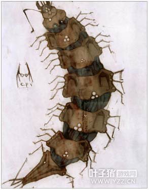 ɾ˵ROŷ򼿨Ƭ ŷ򼿨Ƭ;