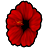 Icon-ľͷ.png
