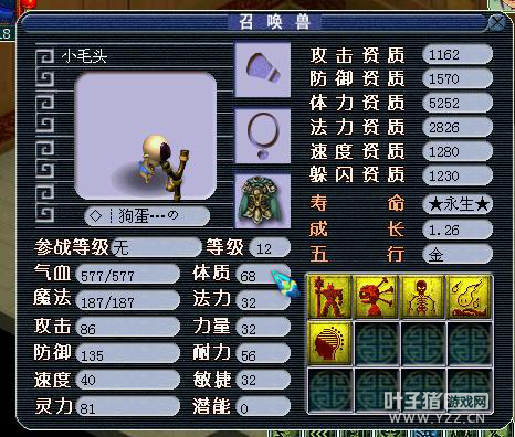 ���ʺ��������ǵ������̵� ��������������Ѱ�Ҵ���