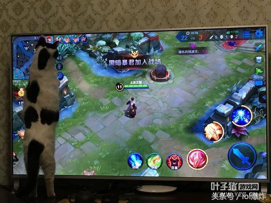 ������ҫ����֮���εĶ�������Ϊֻ��Сѧ����Ҳ���ܸ����Ͳ�����