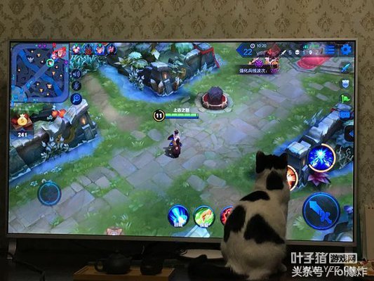 ������ҫ����֮���εĶ�������Ϊֻ��Сѧ����Ҳ���ܸ����Ͳ�����