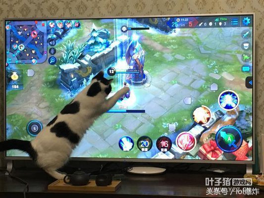 ������ҫ����֮���εĶ�������Ϊֻ��Сѧ����Ҳ���ܸ����Ͳ�����