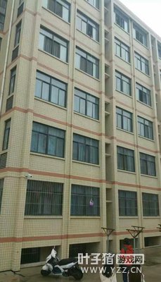 �������� Ů��ѧ����10��������6¥������