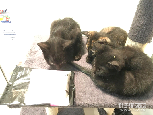 ���˱���֮�� ս���ǻ�������Щ����˼�������أ�