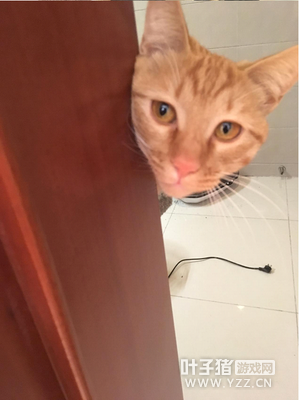 ���˱���֮�� ս���ǻ�������Щ����˼�������أ�