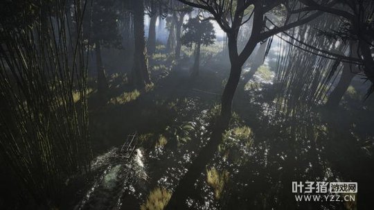 �������ж�����Ұ����������Ƭ ���4K�ֱ���