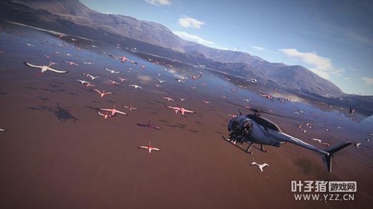 �������ж�����Ұ����������Ƭ ���4K�ֱ���