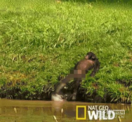 �����Ѷ�����������Ϸ�� �����Ŀ��������