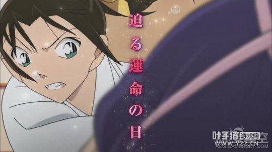 �糡������̽��������PV ��Ҷ���������Ծ���