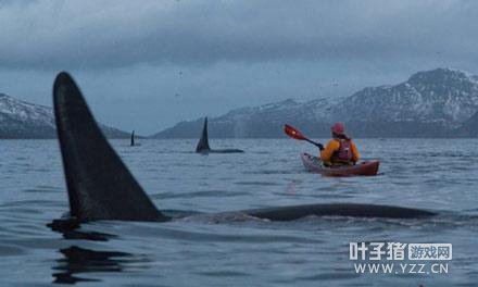 �����Ѷ��11��ǰ�����ع� û�뵽������������