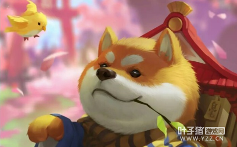 ����ʦʽ�񱳾����� Ȯ������һ����