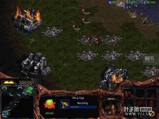 Ҳ����ÿ�춼���ϱ�ѩս��������֪��������ô������