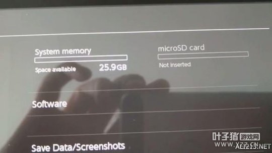 网友返修Switch泄露天机 竟发现了官方未公布的功能