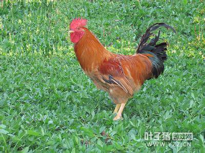 ��薙�����ǲ��ɾ� ��Щ�����ϴ�������֪������?