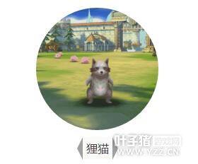 ��һƬ����Ҷ�������ģ�������è����