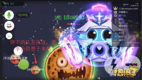 ���������·��� ��α�֤������������