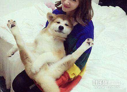 �����Ѷ����������Ӱ� Ϊ��׬Ǯ������������