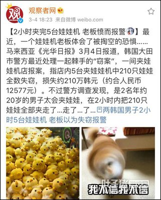 ����ץ�����ߺ�ȫ�� ��ý�ơ������˲����ܵľ�����