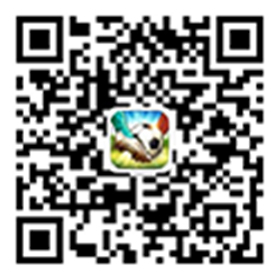 ��ע��Ϸ���ں� ������Ϸ��������