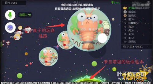 �߶˲���������ֱ�������⿨��ţBը��