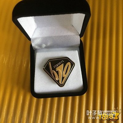 619�������ʢ����Ϯ ���󻷽ڴ�������ַ���