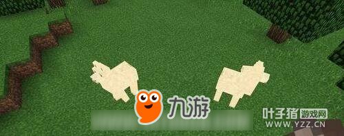 �ҵ�����������ôѱ�� ����ѱ������