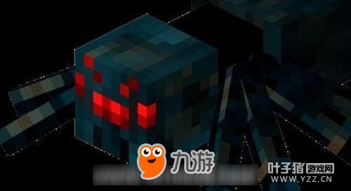 �ҵ�����֩������ô�� ֩������η���