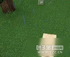 �ҵ������ֻ���������ô�� ���շ�ֳͼ����