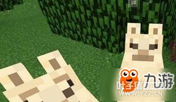 �ҵ���������������ô��ֳ ���շ�ֳ���ɽ���