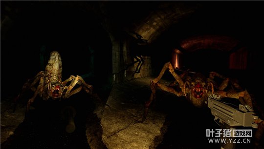 ³˺ʵ (The Brookhaven Experimen