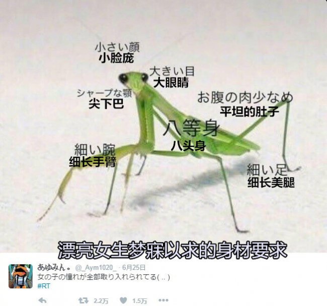 ��˵����