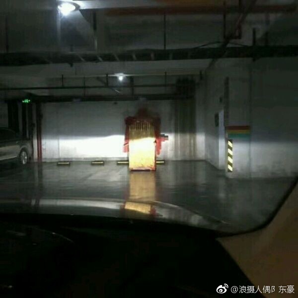 ��˵����