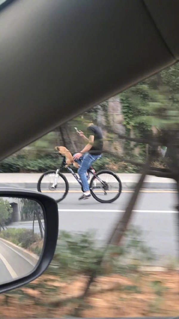 ��˵����