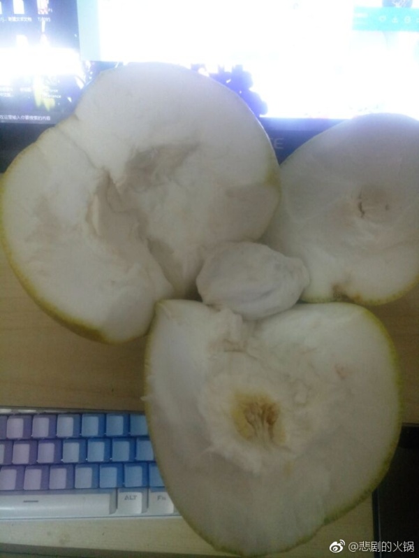 ��˵����